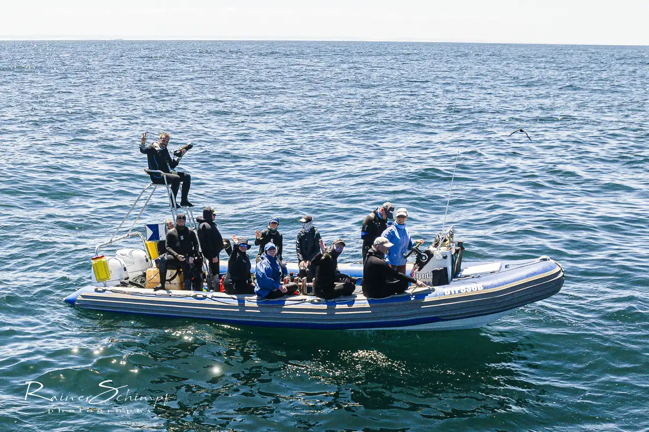 Atlantic Ocean Safaris