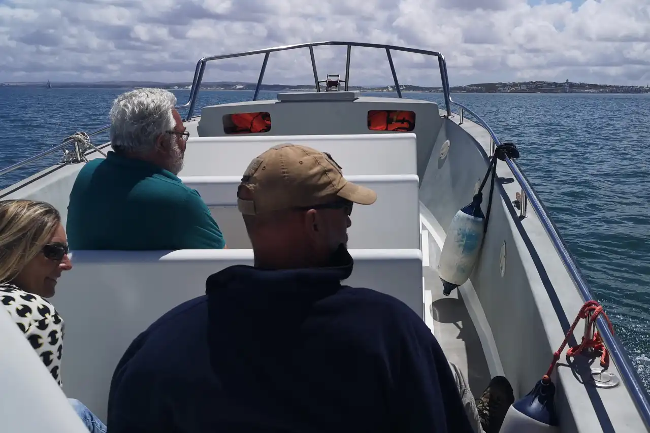 Atlantic Ocean Safaris