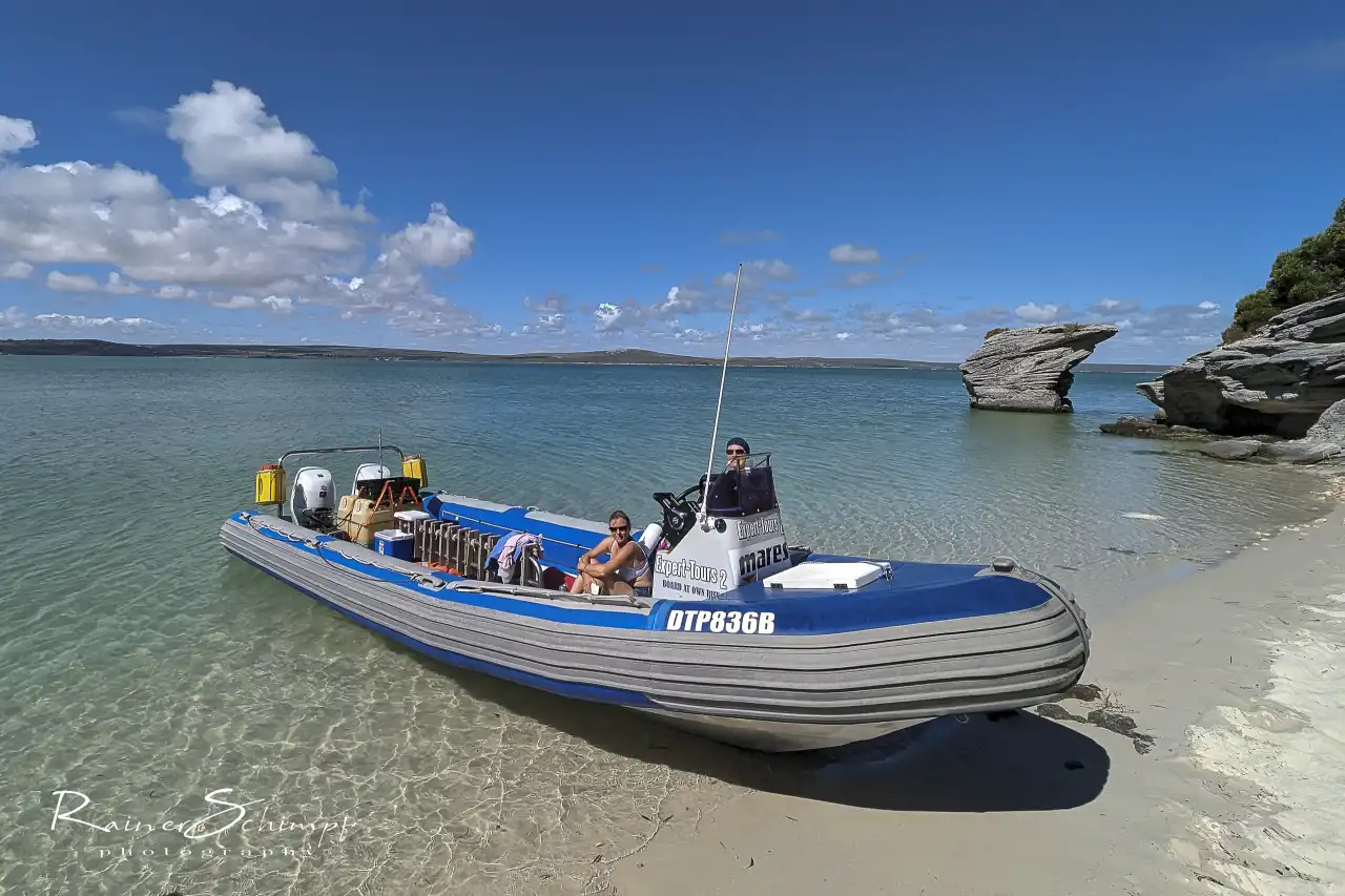 Atlantic Ocean Safaris