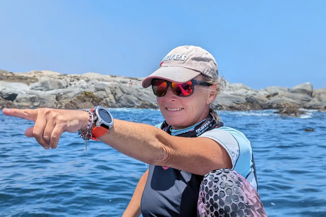Atlantic Ocean Safaris